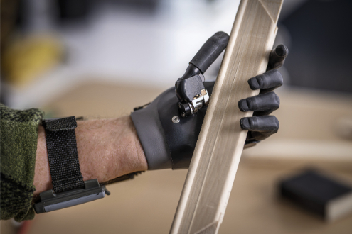 i-Digits tenant un objet en bois